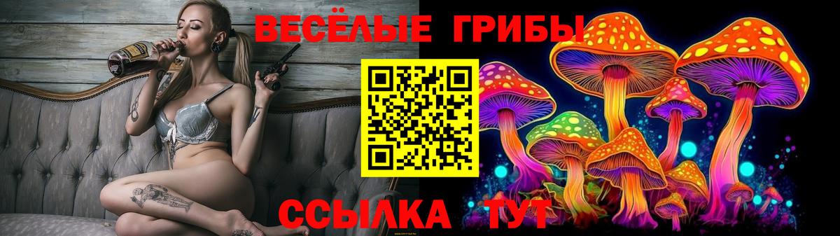 Лениногорск  Галлюциногенные грибы MAGIC MUSHROOMS  Вход с VPN 